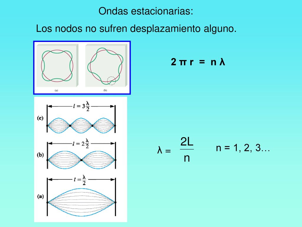 2L n Ondas estacionarias: Los nodos no sufren desplazamiento alguno.