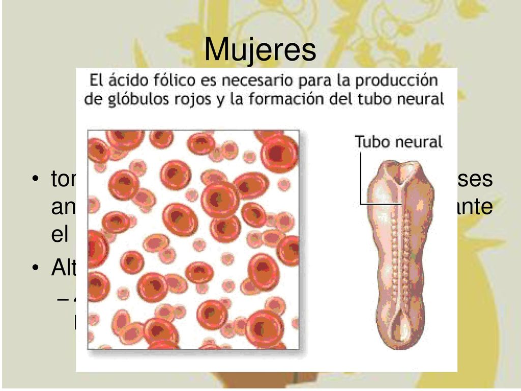 Mujeres tomar 400 microgramos dos a tres meses antes de la concepción y continuar durante el primer trimestre del embarazo.