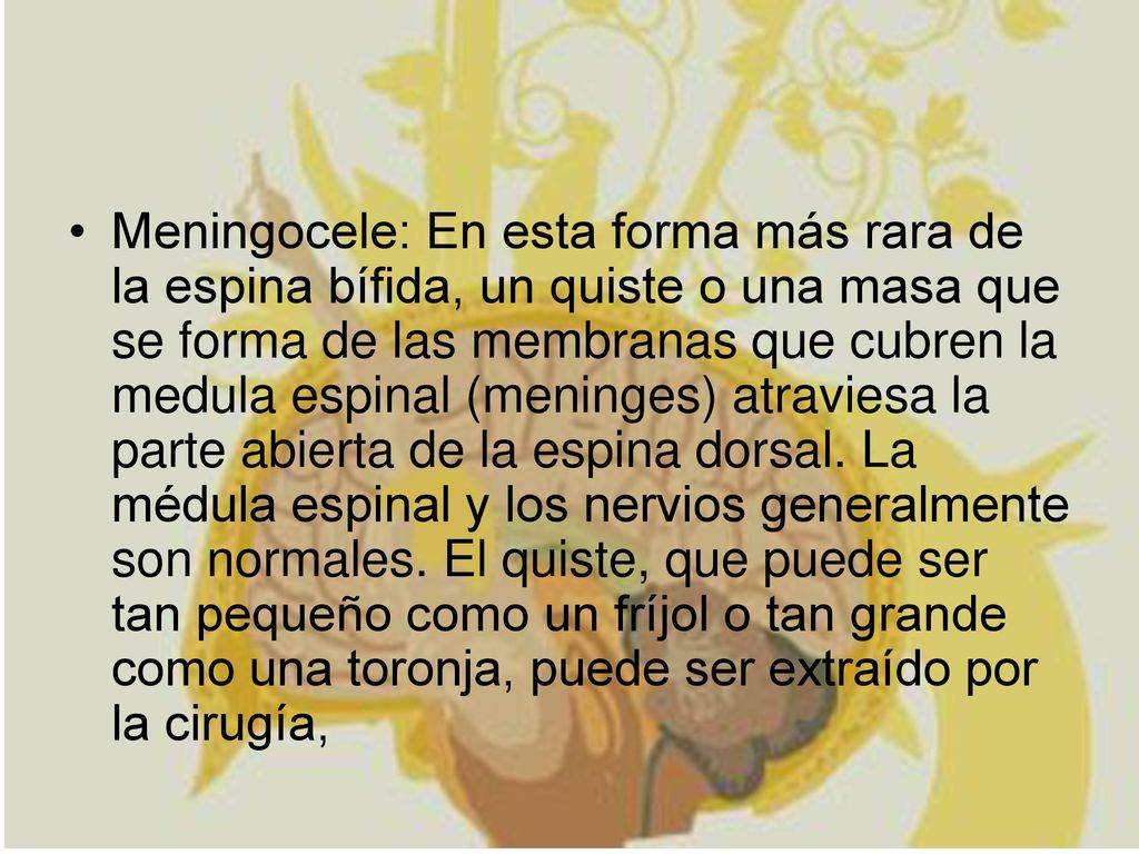 Meningocele: En esta forma más rara de la espina bífida, un quiste o una masa que se forma de las membranas que cubren la medula espinal (meninges) atraviesa la parte abierta de la espina dorsal.