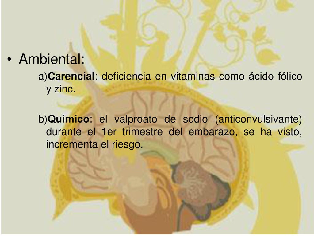Ambiental: a)Carencial: deficiencia en vitaminas como ácido fólico y zinc.