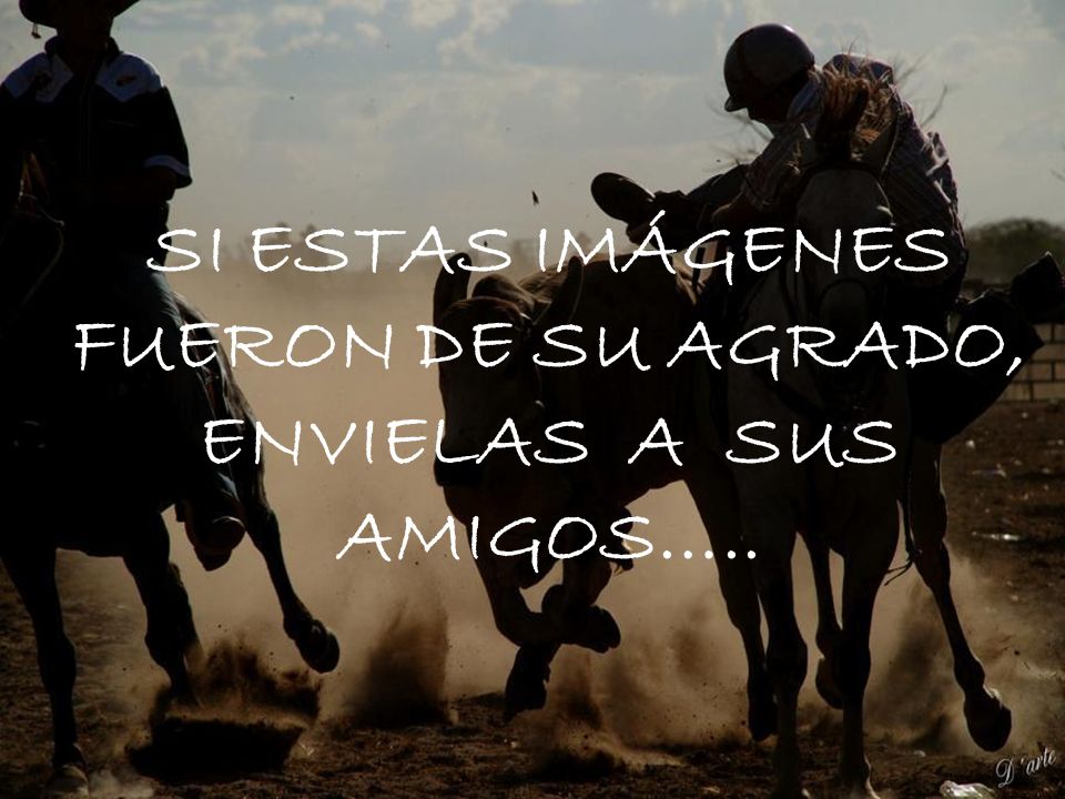 SI ESTAS IMÁGENES FUERON DE SU AGRADO, ENVIELAS A SUS AMIGOS…..
