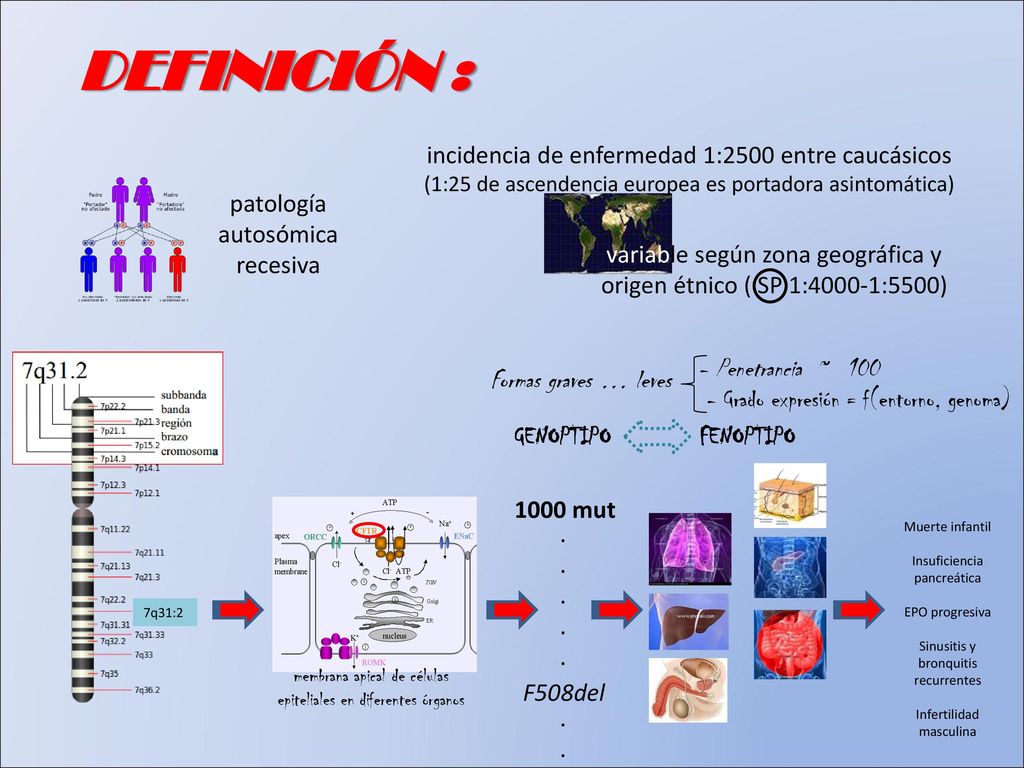 DEFINICIÓN : incidencia de enfermedad 1:2500 entre caucásicos (1:25 de ascendencia europea es portadora asintomática)