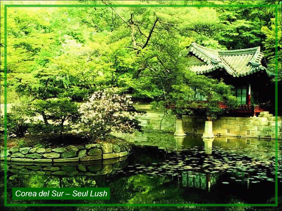 Corea del Sur – Seul Lush