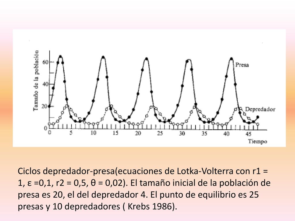 Ciclos depredador-presa(ecuaciones de Lotka-Volterra con r1 = 1, ε =0,1, r2 = 0,5, θ = 0,02).