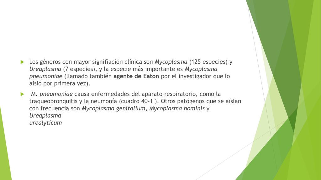 Los géneros con mayor signifiación clínica son Mycoplasma (125 especies) y Ureaplasma (7 especies), y la especie más importante es Mycoplasma pneumoniae (llamado también agente de Eaton por el investigador que lo aisló por primera vez).