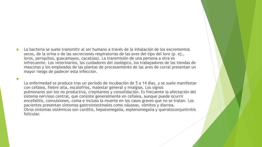 La bacteria se suele transmitir al ser humano a través de la inhalación de los excrementos secos, de la orina o de las secreciones respiratorias de las aves del tipo del loro (p. ej., loros, periquitos, guacamayos, cacatúas). La transmisión de una persona a otra es infrecuente. Los veterinarios, los cuidadores del zoológico, los trabajadores de las tiendas de mascotas y los empleados de las plantas de procesamiento de las aves de corral presentan un mayor riesgo de padecer esta infección.