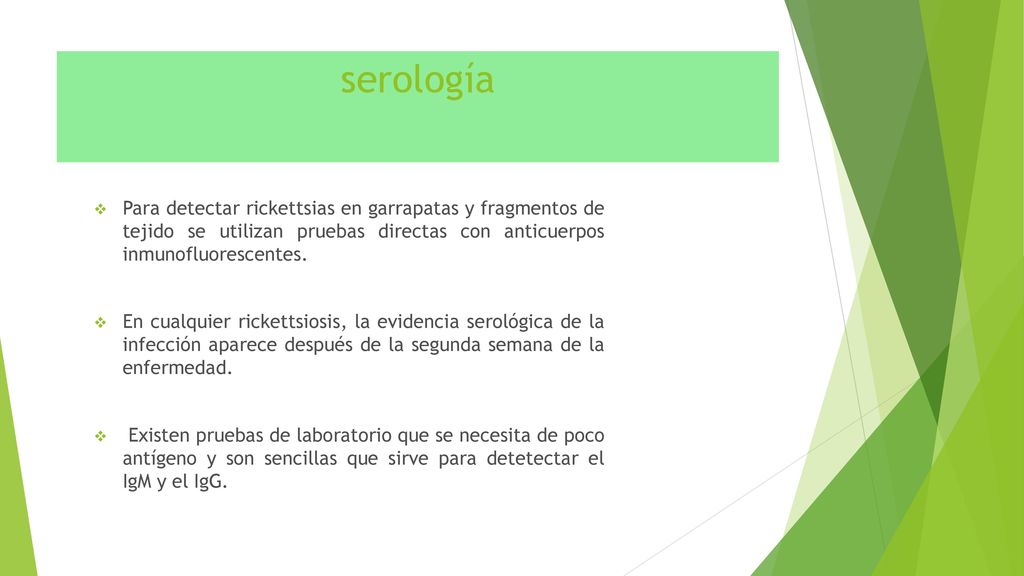 serología Para detectar rickettsias en garrapatas y fragmentos de tejido se utilizan pruebas directas con anticuerpos inmunofluorescentes.