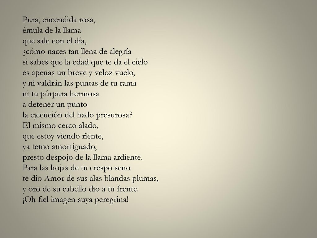 Pura, encendida rosa, émula de la llama que sale con el día, ¿cómo naces tan llena de alegría si sabes que la edad que te da el cielo es apenas un breve y veloz vuelo, y ni valdrán las puntas de tu rama ni tu púrpura hermosa a detener un punto la ejecución del hado presurosa.