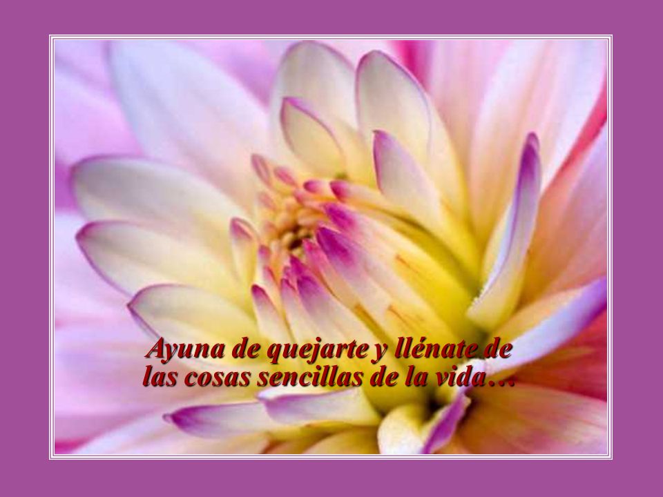 Ayuna de quejarte y llénate de las cosas sencillas de la vida…