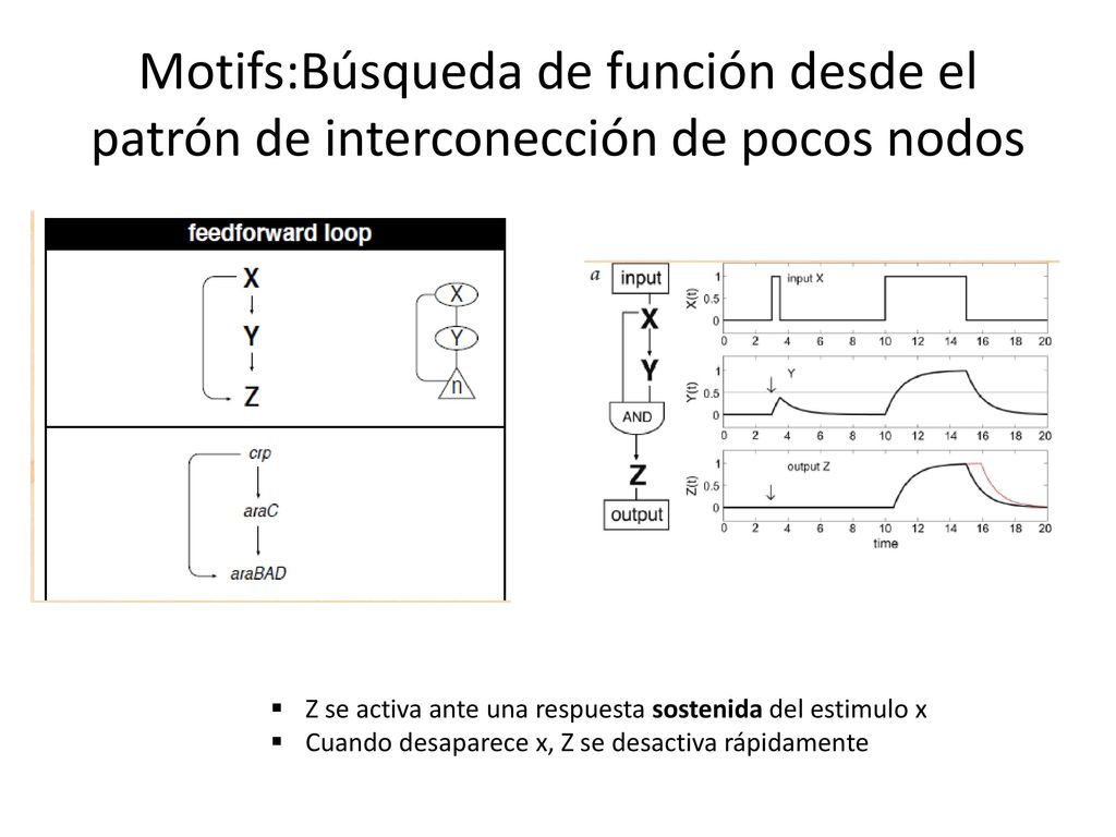 Motifs:Búsqueda de función desde el patrón de interconección de pocos nodos
