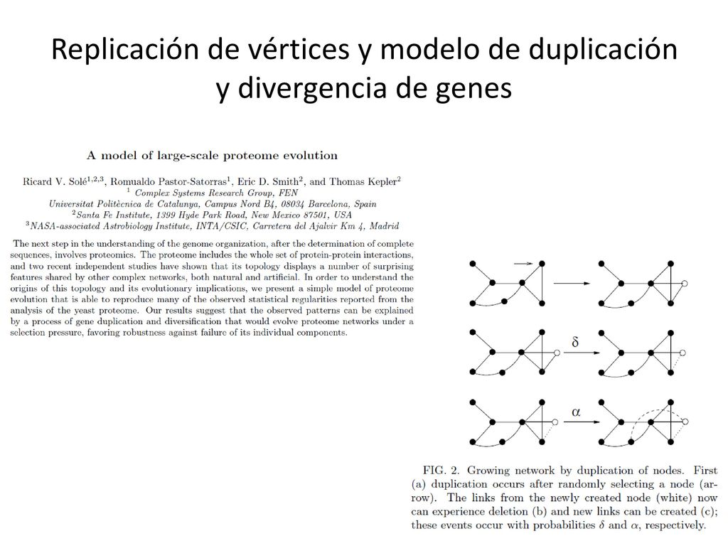 Replicación de vértices y modelo de duplicación y divergencia de genes