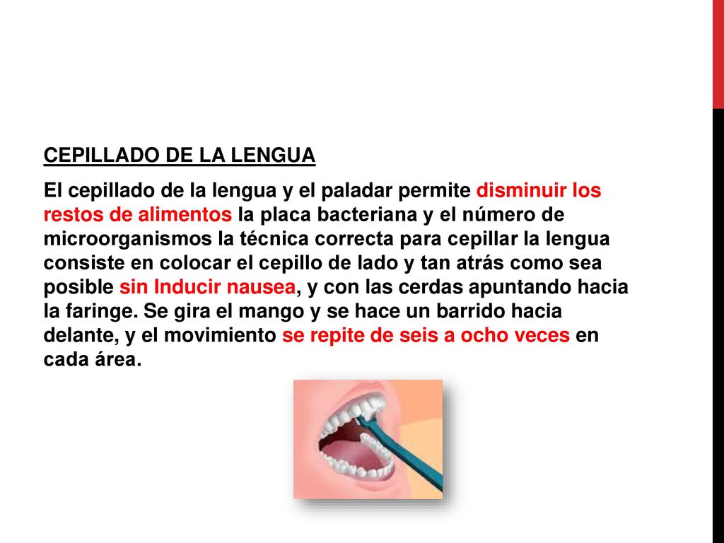 CEPILLADO DE LA LENGUA El cepillado de la lengua y el paladar permite disminuir los restos de alimentos la placa bacteriana y el número de microorganismos la técnica correcta para cepillar la lengua consiste en colocar el cepillo de lado y tan atrás como sea posible sin Inducir nausea, y con las cerdas apuntando hacia la faringe.