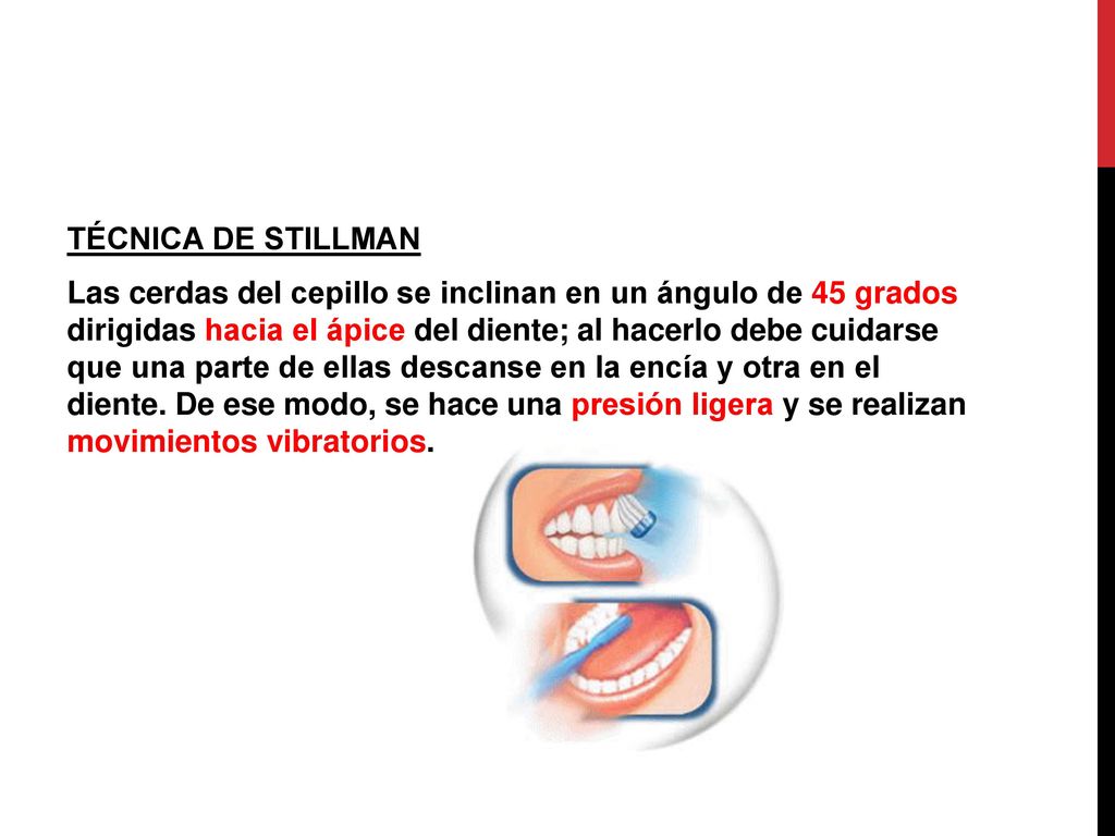 TÉCNICA DE STILLMAN Las cerdas del cepillo se inclinan en un ángulo de 45 grados dirigidas hacia el ápice del diente; al hacerlo debe cuidarse que una parte de ellas descanse en la encía y otra en el diente.