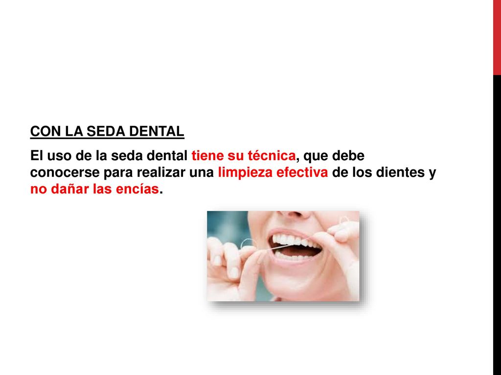 CON LA SEDA DENTAL El uso de la seda dental tiene su técnica, que debe conocerse para realizar una limpieza efectiva de los dientes y no dañar las encías.
