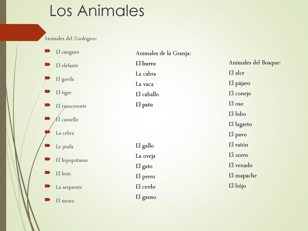 Los Animales Animales de la Granja: El burro La cabra