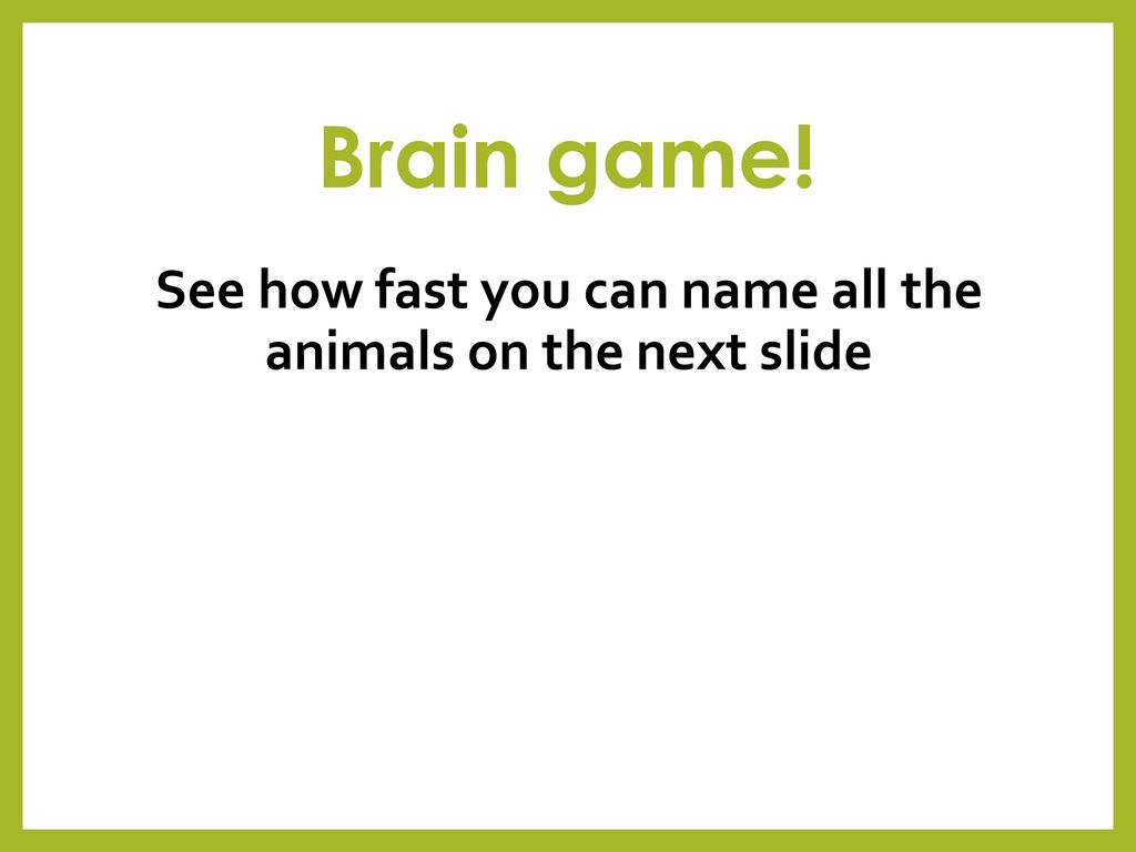 See how fast you can name all the animals on the next slide