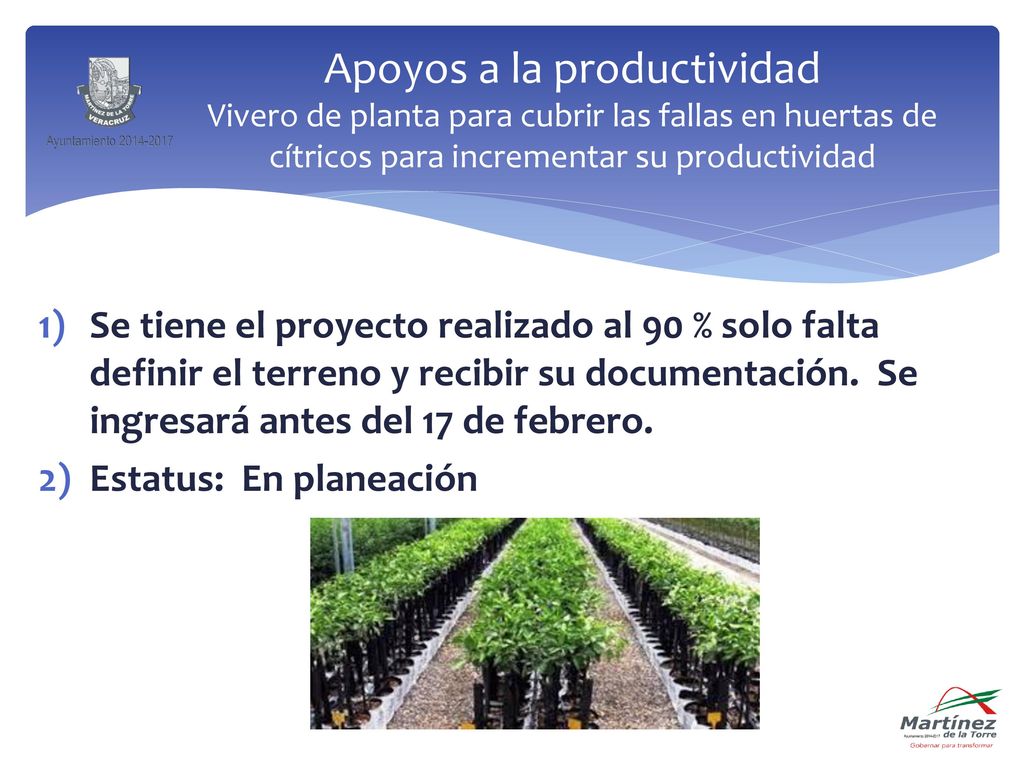 Apoyos a la productividad Vivero de planta para cubrir las fallas en huertas de cítricos para incrementar su productividad