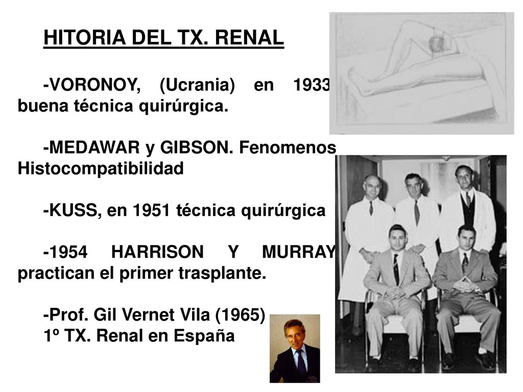 HITORIA DEL TX. RENAL -VORONOY, (Ucrania) en buena técnica quirúrgica. -MEDAWAR y GIBSON. Fenomenos Histocompatibilidad.