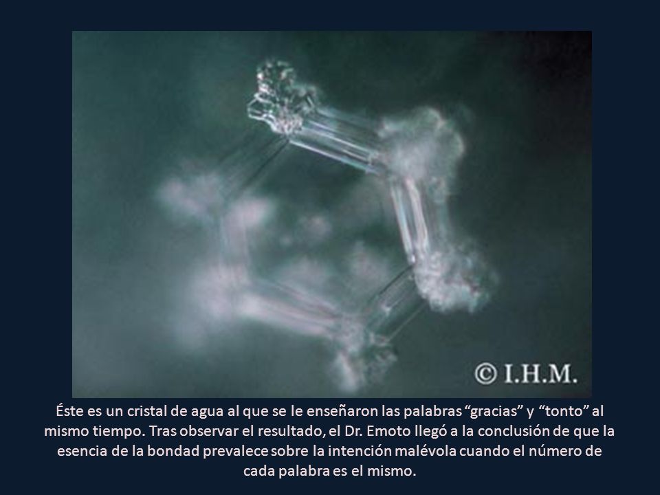 Éste es un cristal de agua al que se le enseñaron las palabras gracias y tonto al mismo tiempo.