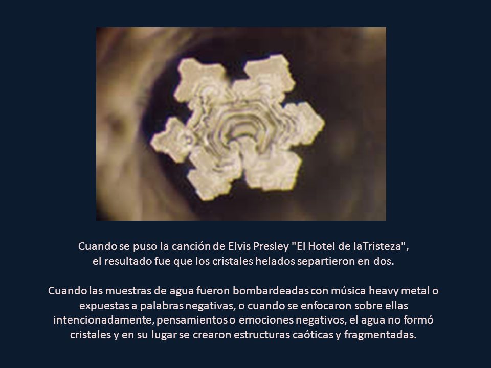Cuando se puso la canción de Elvis Presley El Hotel de laTristeza ,