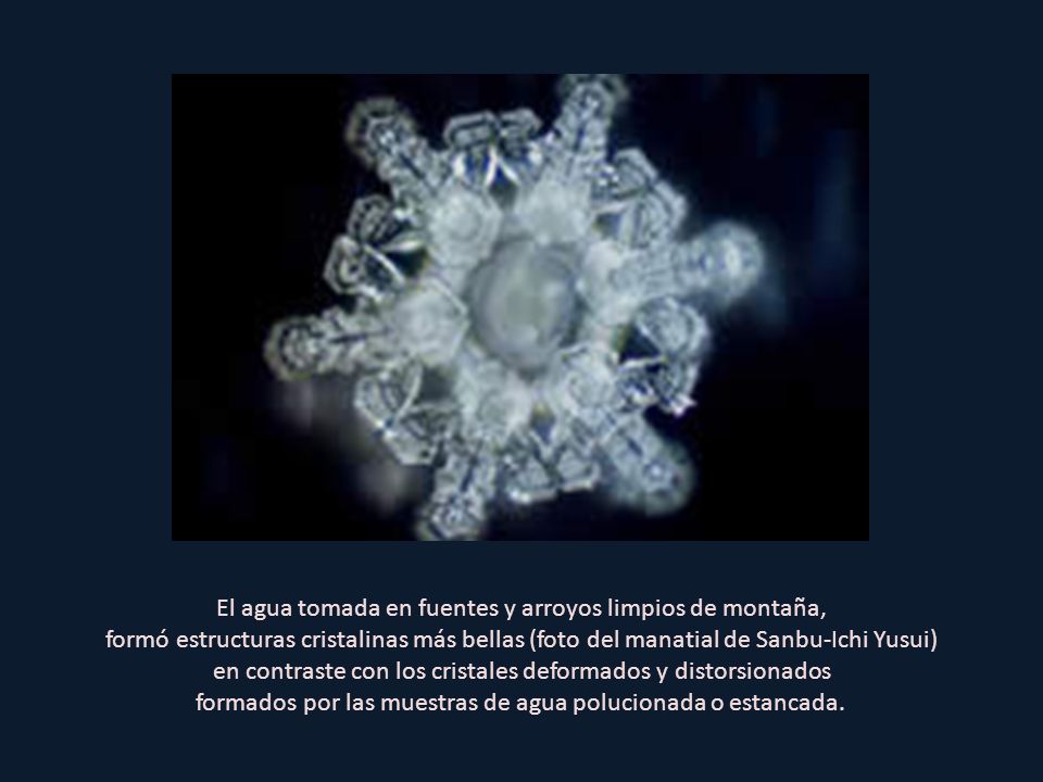 El agua tomada en fuentes y arroyos limpios de montaña,