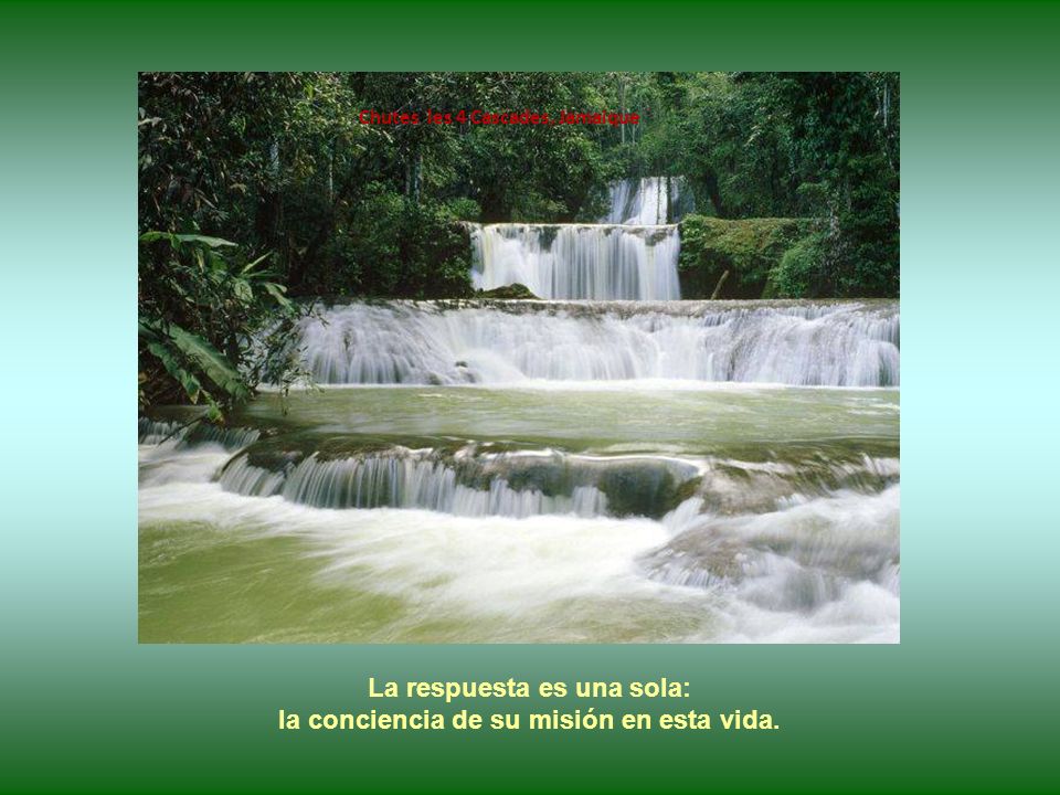 La respuesta es una sola: la conciencia de su misión en esta vida.