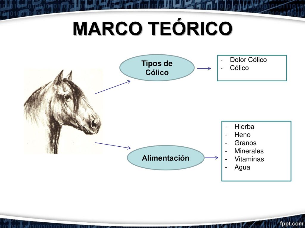 MARCO TEÓRICO Tipos de Cólico Alimentación Dolor Cólico Cólico Hierba