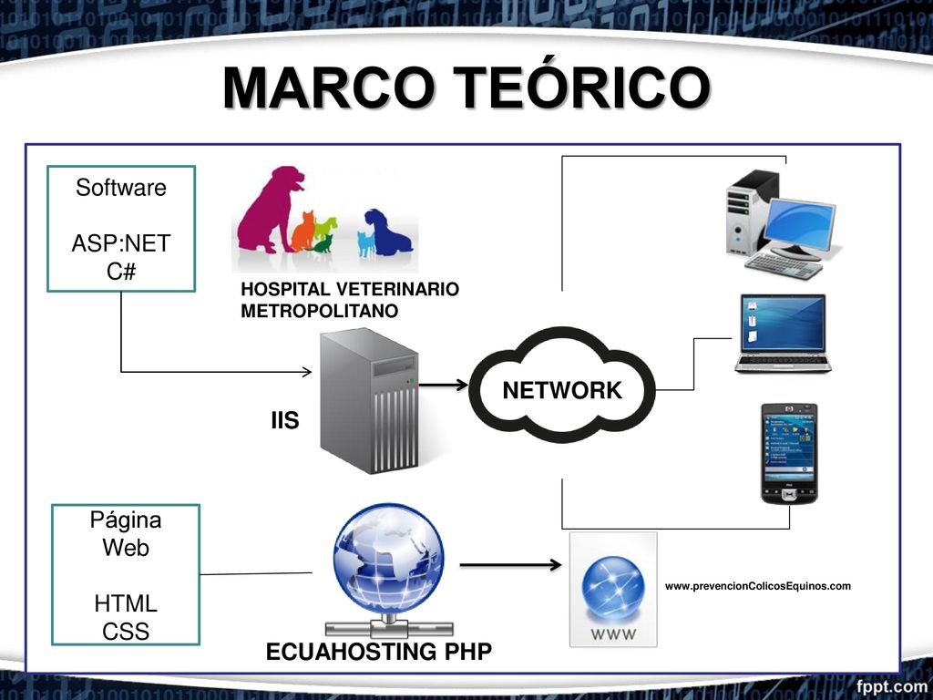MARCO TEÓRICO Software ASP:NET C# NETWORK IIS Página Web HTML CSS