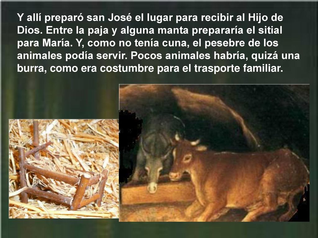 Y allí preparó san José el lugar para recibir al Hijo de Dios