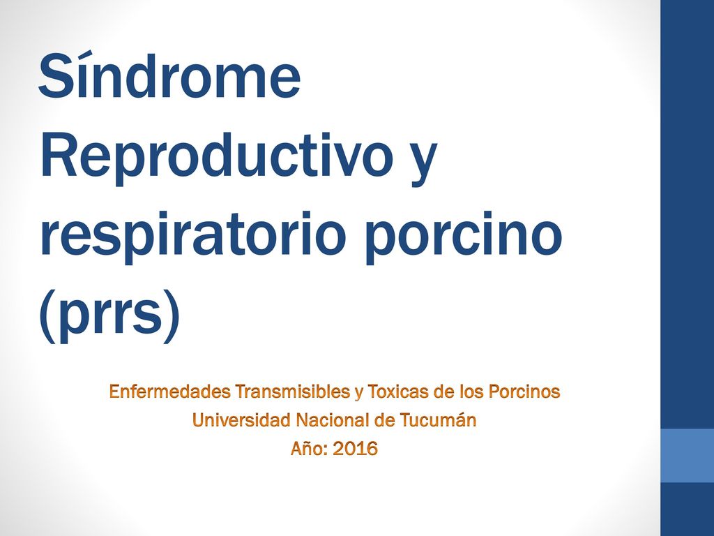 Síndrome Reproductivo y respiratorio porcino (prrs)