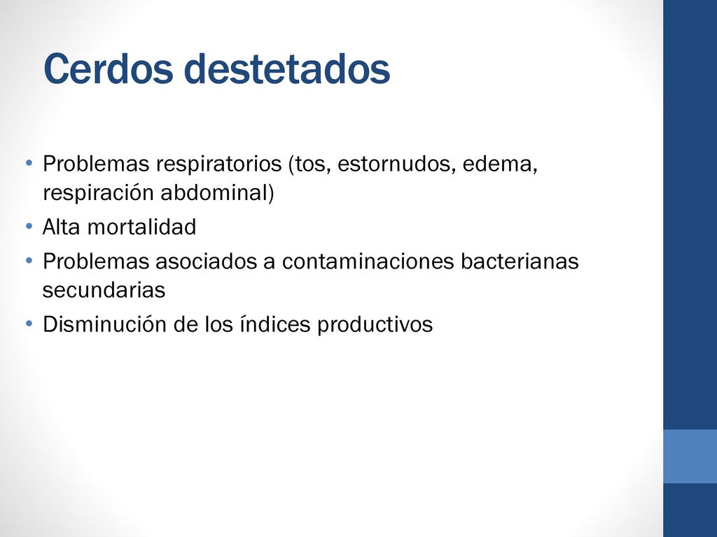 Cerdos destetados Problemas respiratorios (tos, estornudos, edema, respiración abdominal) Alta mortalidad.