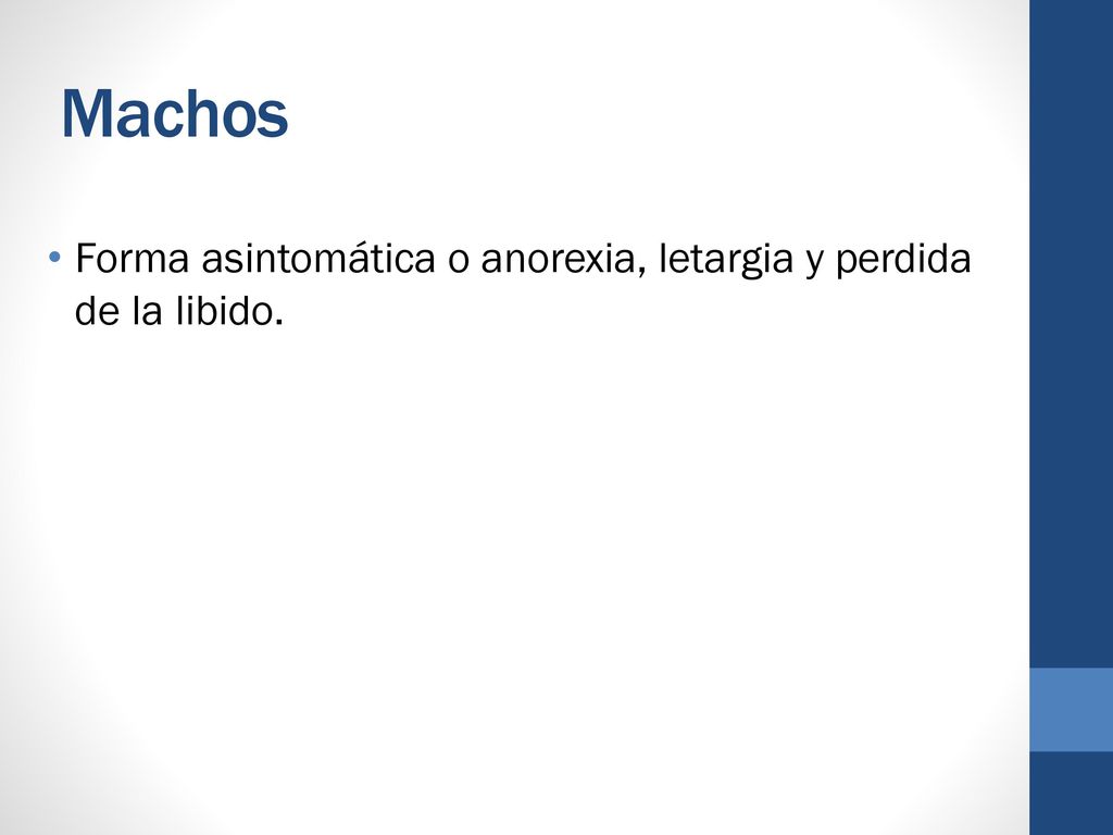 Machos Forma asintomática o anorexia, letargia y perdida de la libido.