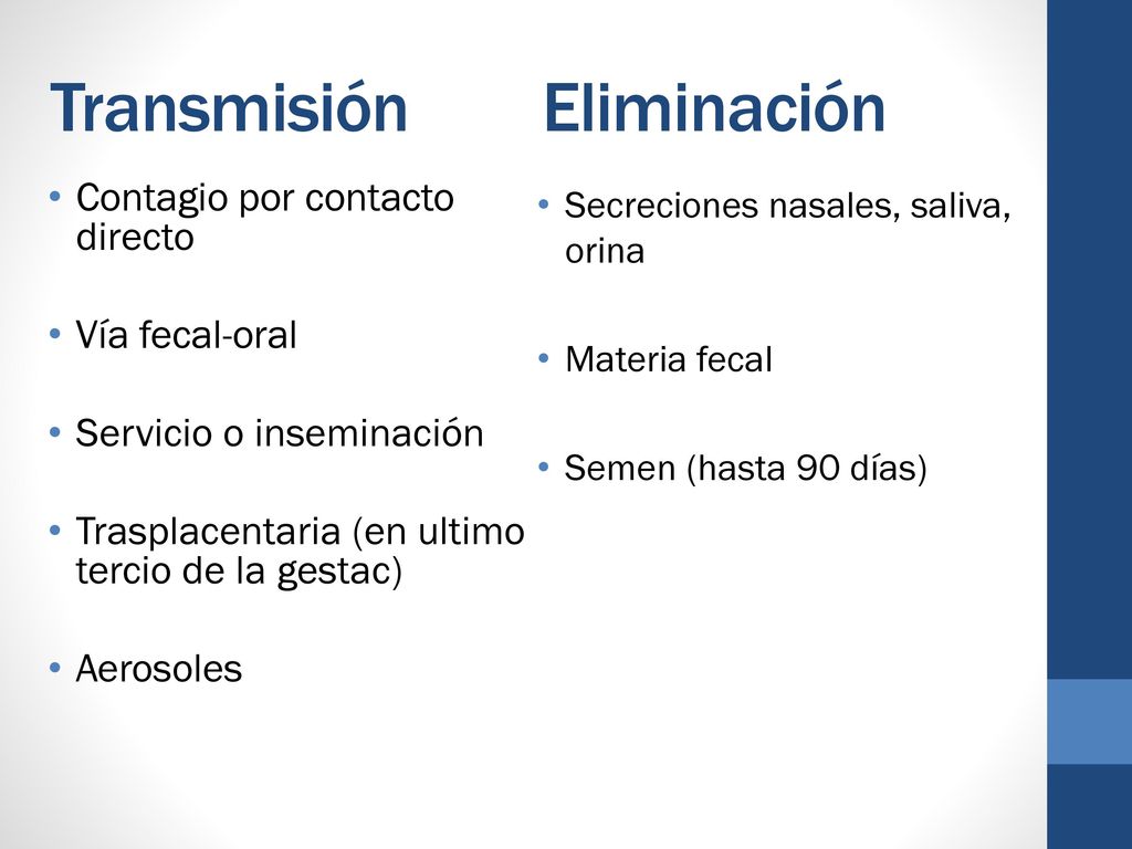 Transmisión Eliminación Contagio por contacto directo Vía fecal-oral