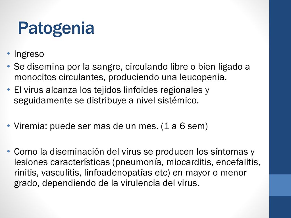 Patogenia Ingreso. Se disemina por la sangre, circulando libre o bien ligado a monocitos circulantes, produciendo una leucopenia.