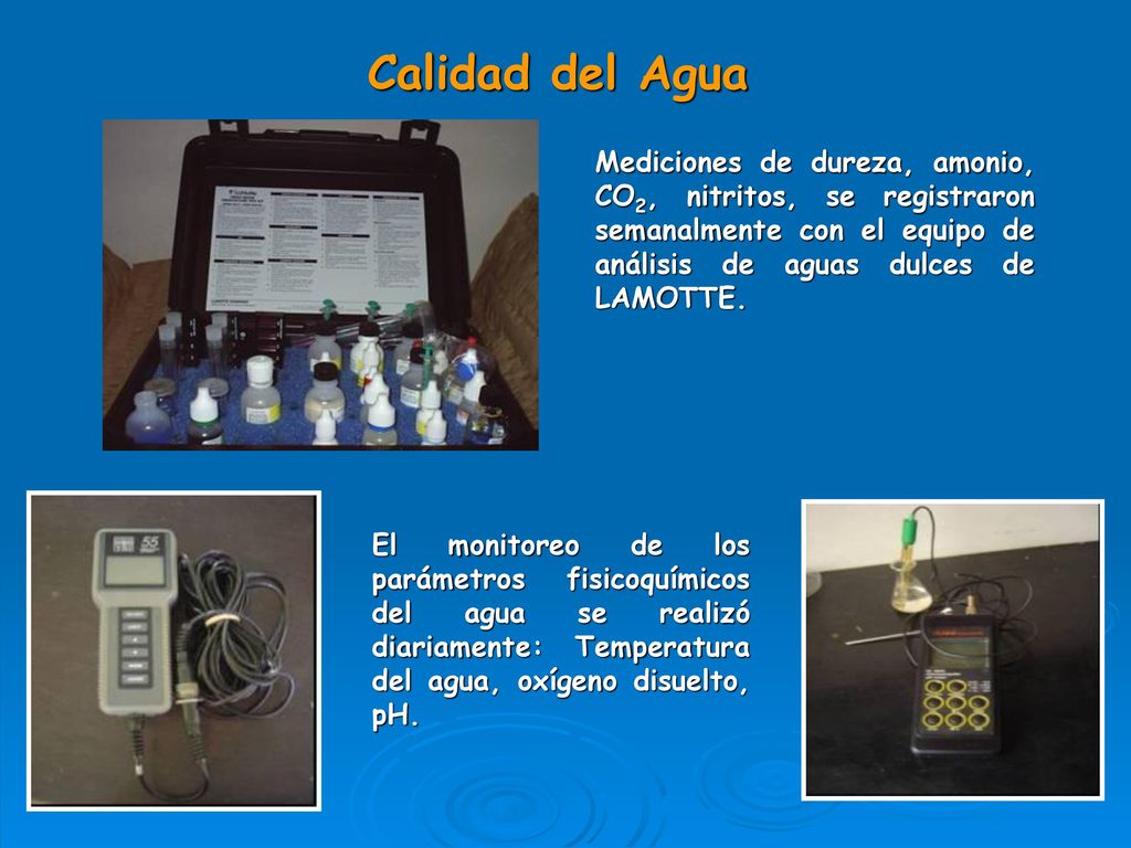 Calidad del Agua Mediciones de dureza, amonio, CO2, nitritos, se registraron semanalmente con el equipo de análisis de aguas dulces de LAMOTTE.