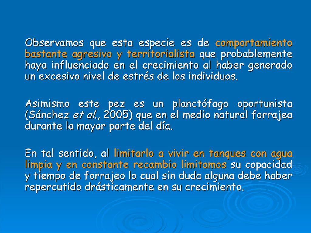 Observamos que esta especie es de comportamiento bastante agresivo y territorialista que probablemente haya influenciado en el crecimiento al haber generado un excesivo nivel de estrés de los individuos.