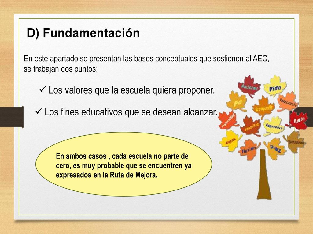 D) Fundamentación Los valores que la escuela quiera proponer.