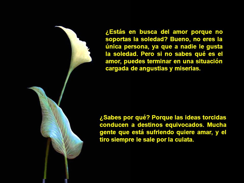 ¿Estás en busca del amor porque no soportas la soledad