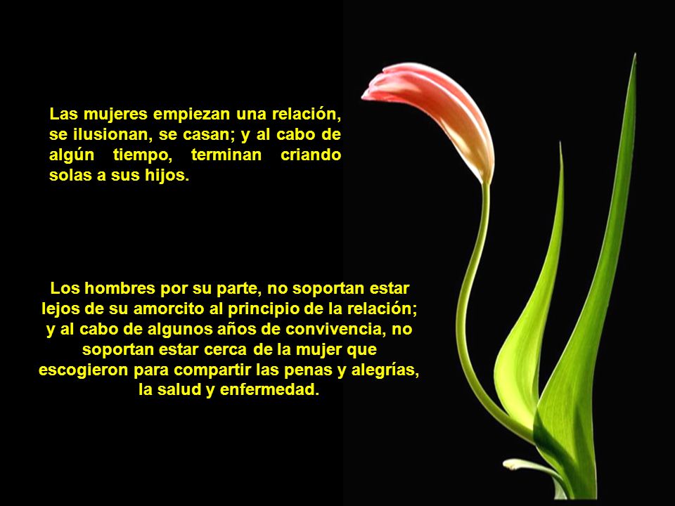 Las mujeres empiezan una relación, se ilusionan, se casan; y al cabo de algún tiempo, terminan criando solas a sus hijos.