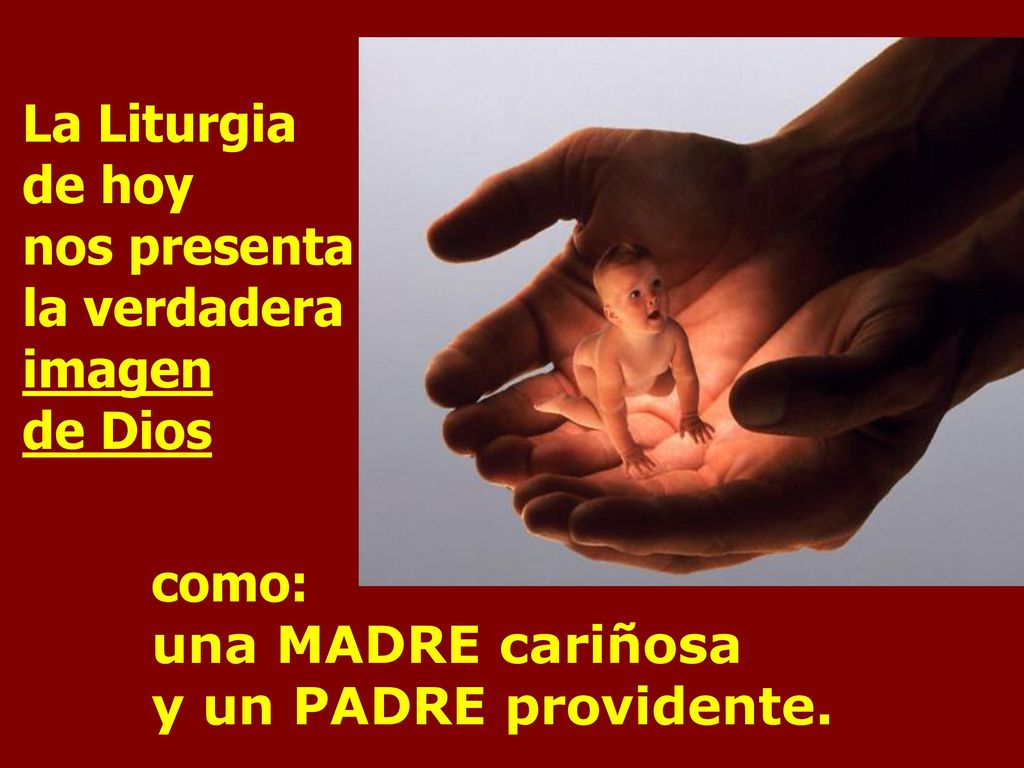 La Liturgia de hoy nos presenta la verdadera imagen de Dios