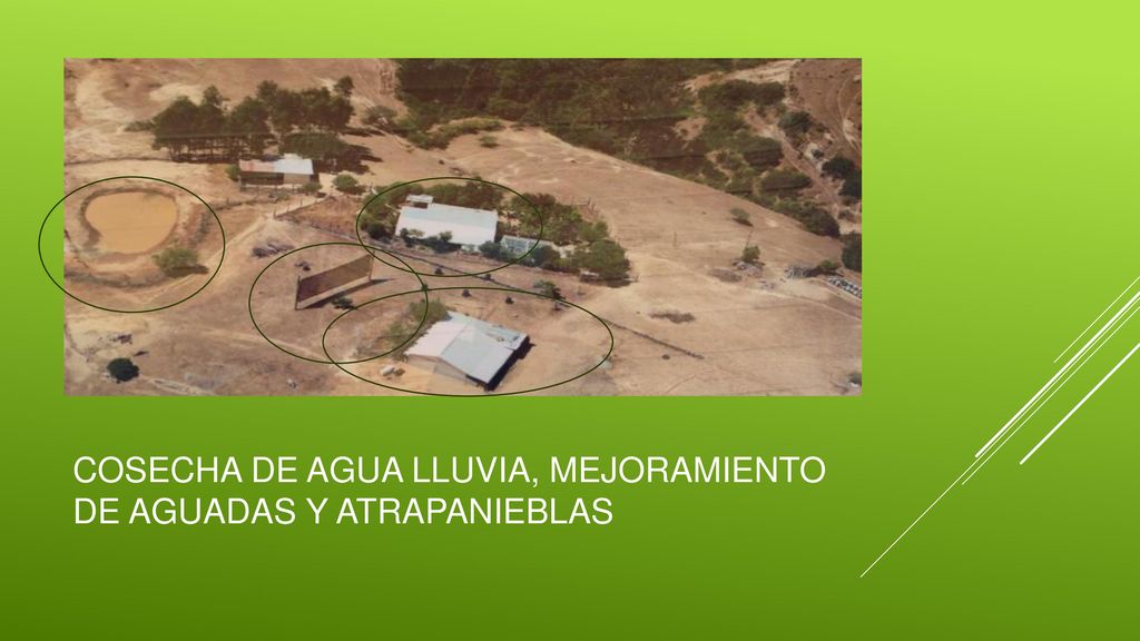Cosecha de agua lluvia, mejoramiento de aguadas y atrapanieblas
