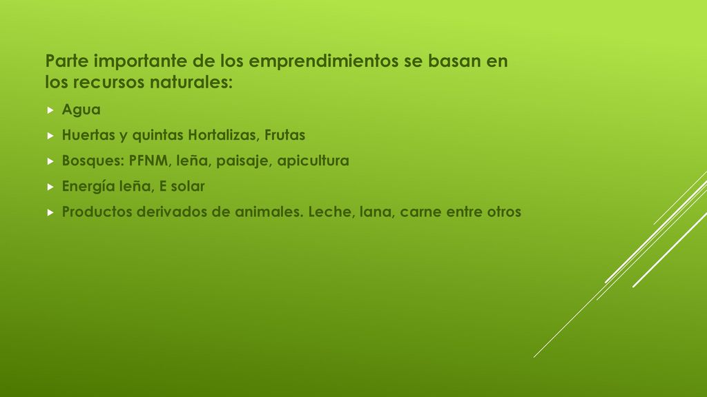 Parte importante de los emprendimientos se basan en los recursos naturales: