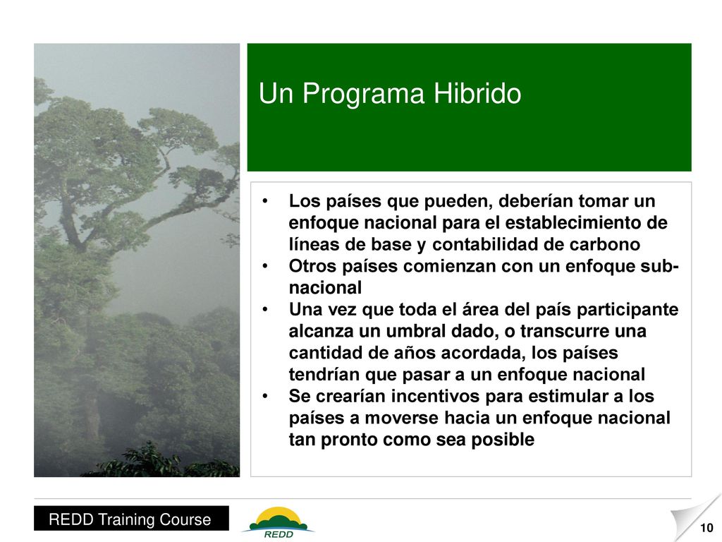 Un Programa Hibrido Los países que pueden, deberían tomar un enfoque nacional para el establecimiento de líneas de base y contabilidad de carbono.