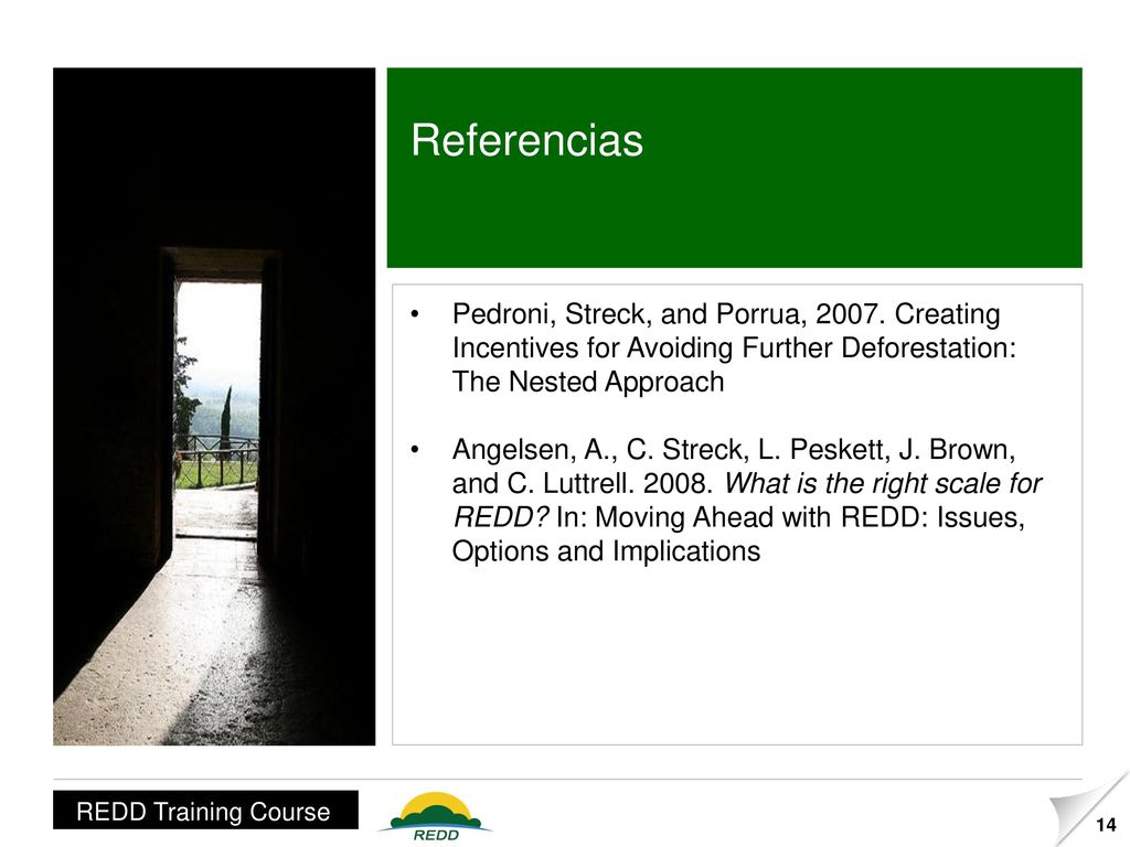 Referencias Pedroni, Streck, and Porrua, Creating Incentives for Avoiding Further Deforestation: The Nested Approach.