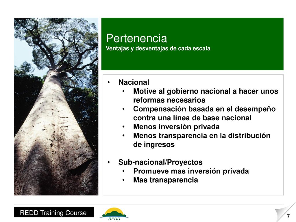 Pertenencia Ventajas y desventajas de cada escala. Nacional. Motive al gobierno nacional a hacer unos reformas necesarios.