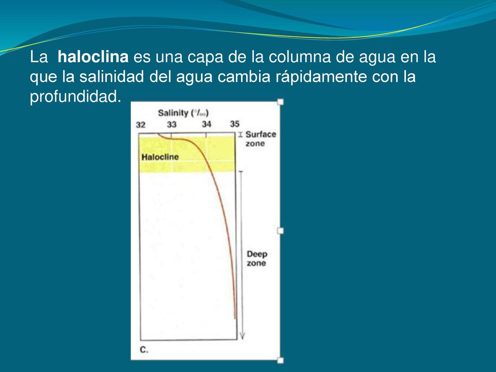 La haloclina es una capa de la columna de agua en la que la salinidad del agua cambia rápidamente con la profundidad.