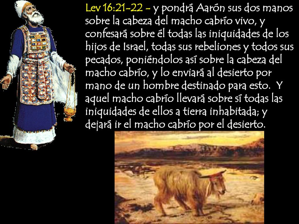 Lev 16: y pondrá Aarón sus dos manos sobre la cabeza del macho cabrío vivo, y confesará sobre él todas las iniquidades de los hijos de Israel, todas sus rebeliones y todos sus pecados, poniéndolos así sobre la cabeza del macho cabrío, y lo enviará al desierto por mano de un hombre destinado para esto.
