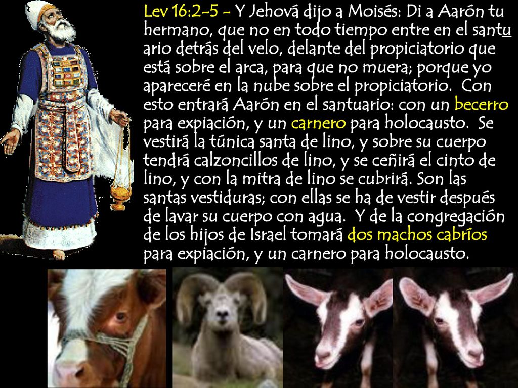 Lev 16:2-5 - Y Jehová dijo a Moisés: Di a Aarón tu hermano, que no en todo tiempo entre en el santu ario detrás del velo, delante del propiciatorio que está sobre el arca, para que no muera; porque yo apareceré en la nube sobre el propiciatorio.