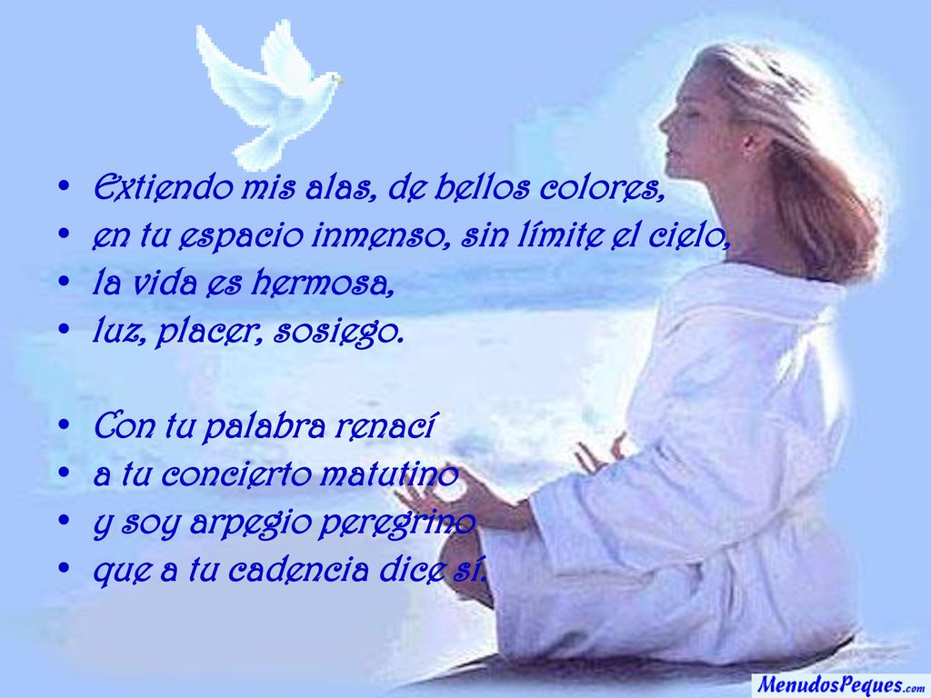 Extiendo mis alas, de bellos colores,