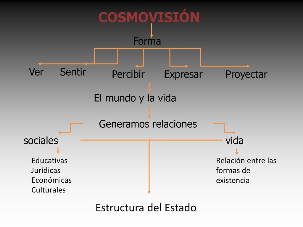 COSMOVISIÓN Estructura del Estado Forma Ver Sentir Percibir Expresar